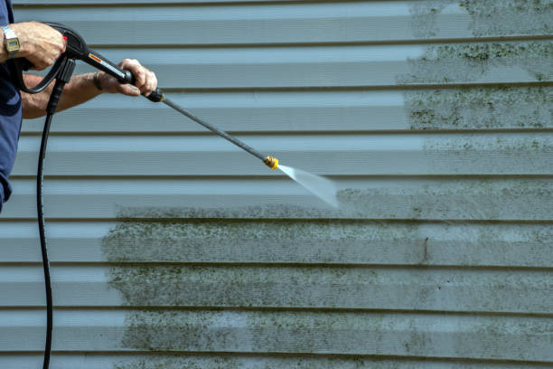 Best Affordable Pressure Washing  in Auburn, NE
