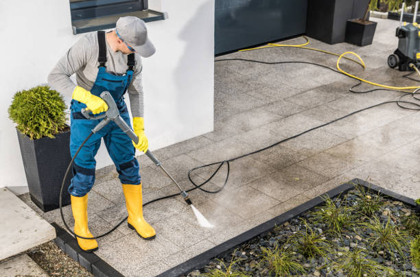 Best Deck Cleaning Services  in Auburn, NE